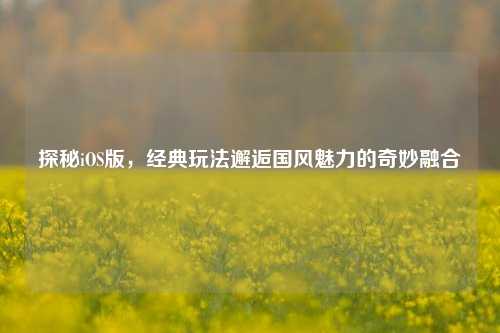 探秘iOS版，经典玩法邂逅国风魅力的奇妙融合