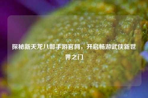 探秘新天龙八部手游官网，开启畅游武侠新世界之门