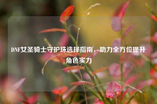 DNF女圣骑士守护珠选择指南，助力全方位提升角色实力
