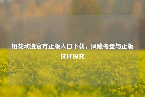 樱花动漫官方正版入口下载，风险考量与正版选择探究
