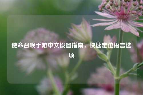 使命召唤手游中文设置指南,快速定位语言选项