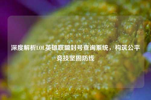 深度解析LOL英雄联盟封号查询系统，构筑公平竞技坚固防线