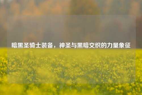 暗黑圣骑士装备，神圣与黑暗交织的力量象征