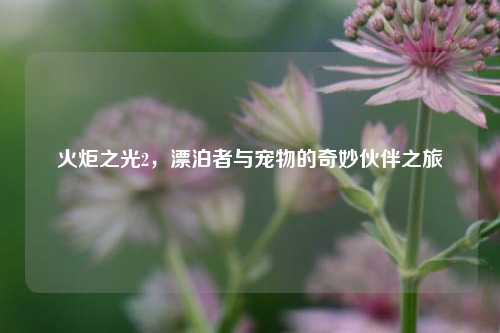 火炬之光2，漂泊者与宠物的奇妙伙伴之旅