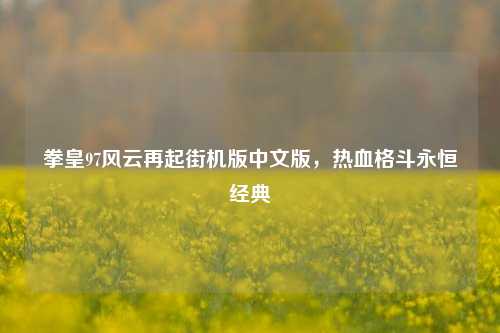 拳皇97风云再起街机版中文版，热血格斗永恒经典