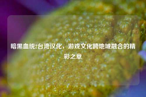 暗黑血统2台湾汉化，游戏文化跨地域融合的精彩之章