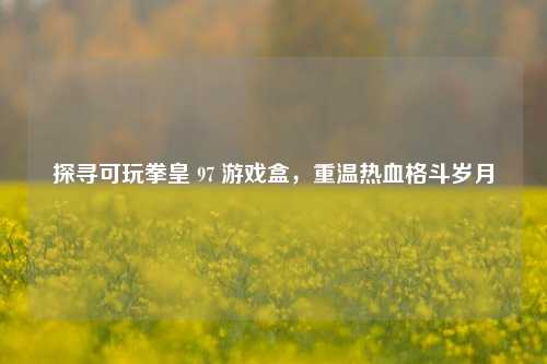 探寻可玩拳皇 97 游戏盒,重温热血格斗岁月