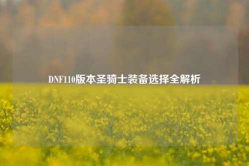 DNF110版本圣骑士装备选择全解析