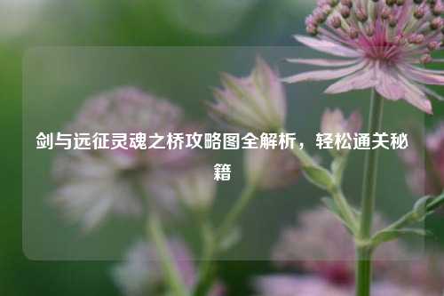 剑与远征灵魂之桥攻略图全解析,轻松通关秘籍