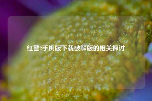 红警2手机版下载破解版的相关探讨