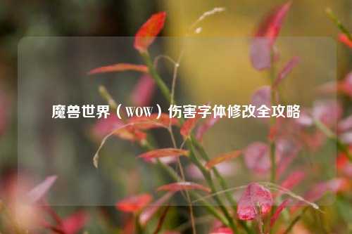 魔兽世界（WOW）伤害字体修改全攻略