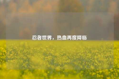 忍者世界,热血再度降临