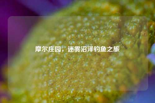 摩尔庄园,迷雾沼泽钓鱼之旅