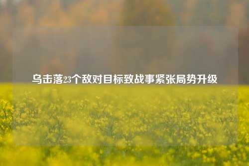 乌击落23个敌对目标致战事紧张局势升级