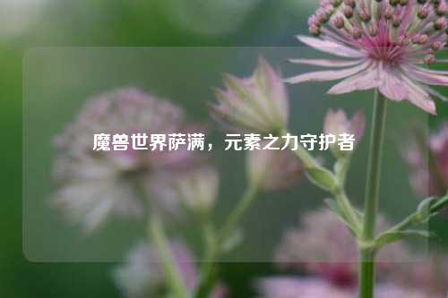 魔兽世界萨满,元素之力守护者