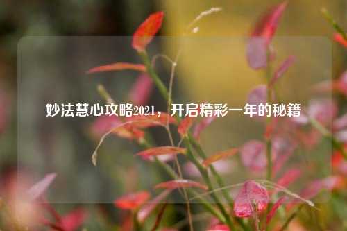 妙法慧心攻略2021,开启精彩一年的秘籍