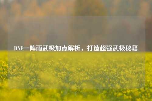DNF一阵雨武极加点解析,打造超强武极秘籍