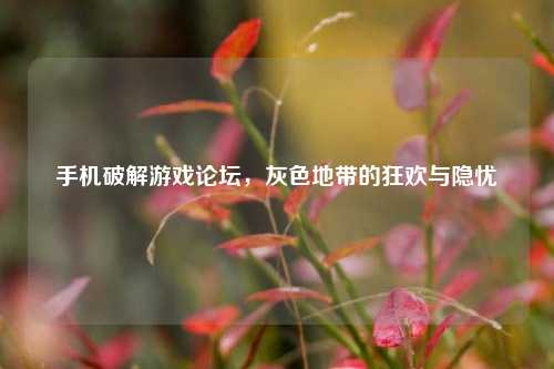 手机破解游戏论坛,灰色地带的狂欢与隐忧