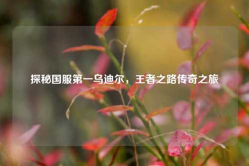 探秘国服第一乌迪尔,王者之路传奇之旅