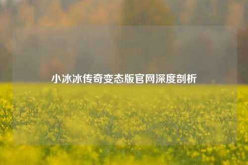 小冰冰传奇变态版官网深度剖析