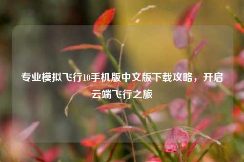 专业模拟飞行10手机版中文版下载攻略,开启云端飞行之旅