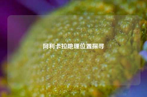 阿利卡拉地理位置探寻