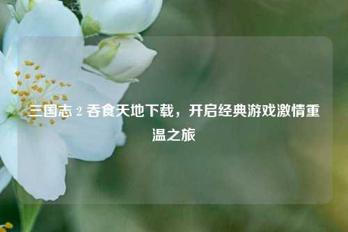 三国志 2 吞食天地下载,开启经典游戏激情重温之旅