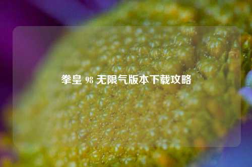 拳皇 98 无限气版本下载攻略