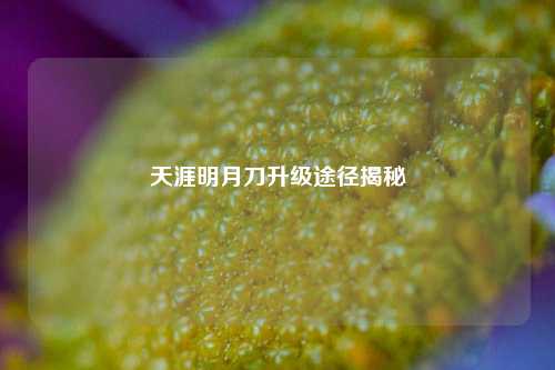 天涯明月刀升级途径揭秘