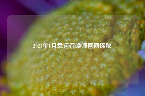 2021年1月幸运召唤师官网探秘