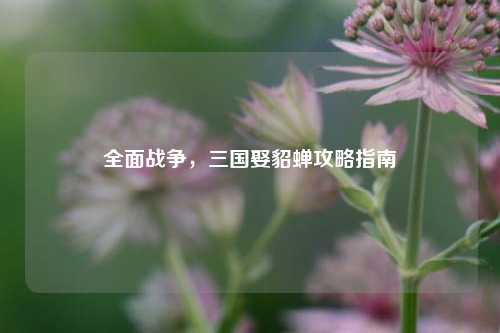 全面战争，三国娶貂蝉攻略指南