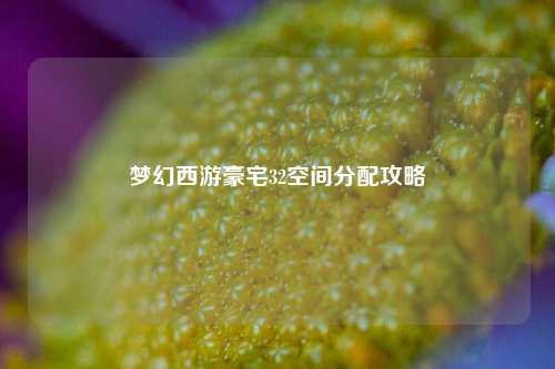 梦幻西游豪宅32空间分配攻略