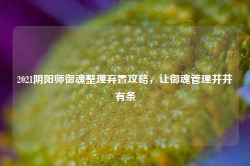 2021阴阳师御魂整理弃置攻略,让御魂管理井井有条
