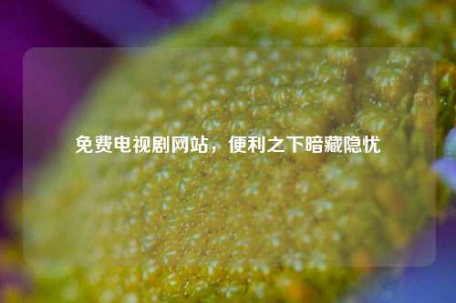 免费电视剧网站，便利之下暗藏隐忧