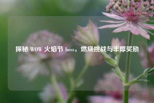 探秘 WOW 火焰节 boss，燃烧挑战与丰厚奖励