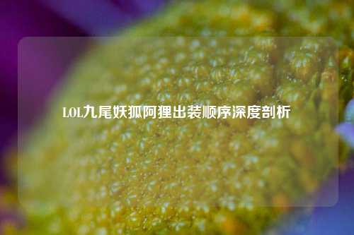 LOL九尾妖狐阿狸出装顺序深度剖析