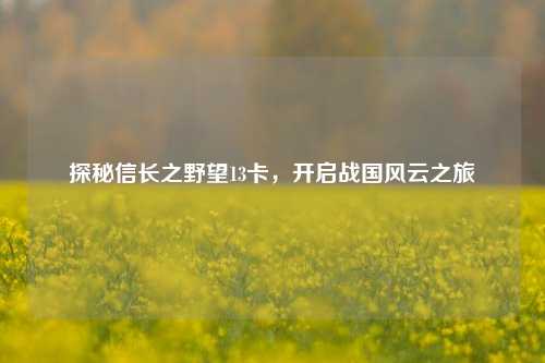 探秘信长之野望13卡，开启战国风云之旅
