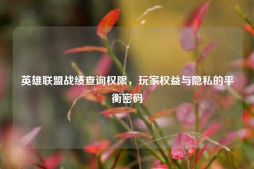 英雄联盟战绩查询权限,玩家权益与隐私的平衡密码