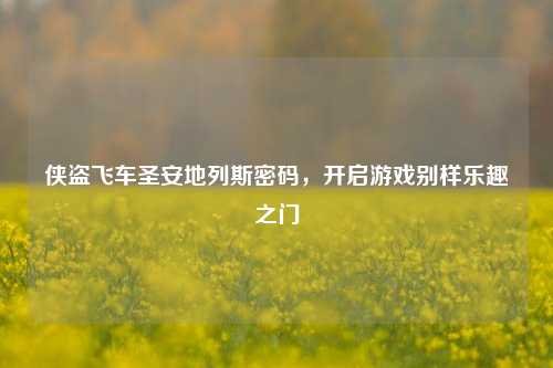 侠盗飞车圣安地列斯密码,开启游戏别样乐趣之门