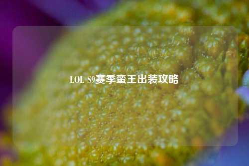 LOL S9赛季蛮王出装攻略