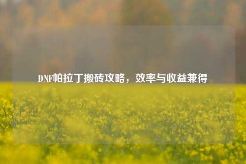 DNF帕拉丁搬砖攻略,效率与收益兼得