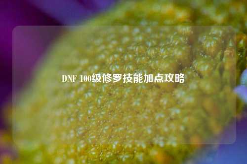 DNF 100级修罗技能加点攻略