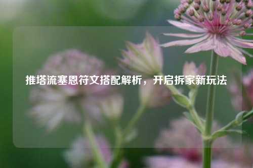 推塔流塞恩符文搭配解析,开启拆家新玩法