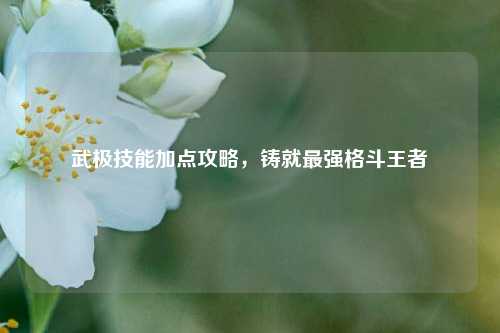 武极技能加点攻略，铸就最强格斗王者