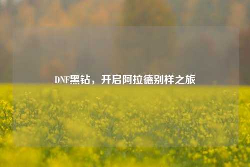 DNF黑钻,开启阿拉德别样之旅