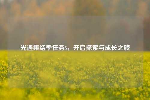光遇集结季任务5,开启探索与成长之旅