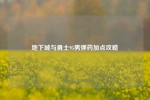地下城与勇士95男弹药加点攻略
