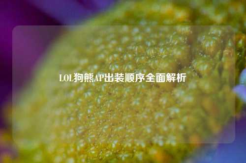 LOL狗熊AP出装顺序全面解析