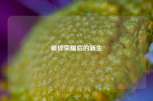 破碎荣耀后的新生