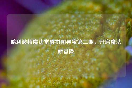 哈利波特魔法觉醒拼图寻宝第二期,开启魔法新冒险